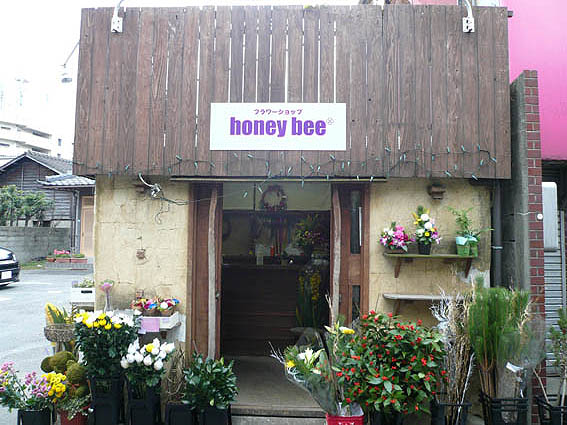 honey bee-plŔ