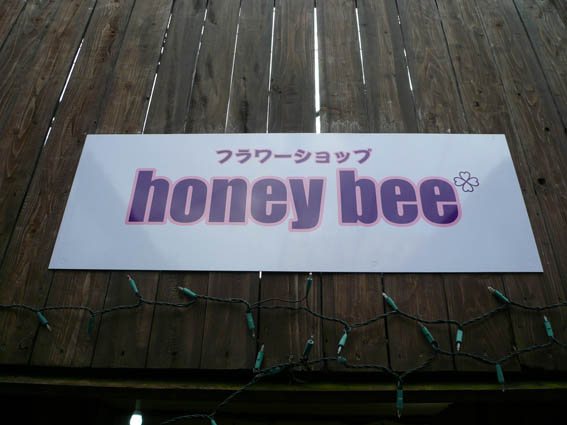 honey bee-plŔ2